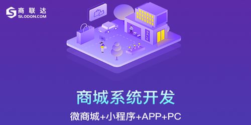 常见的b2c商城网站运营模式有哪些